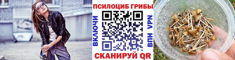 MEGA как войти  купить наркотик  Большой Камень  Галлюциногенные грибы мухоморы 